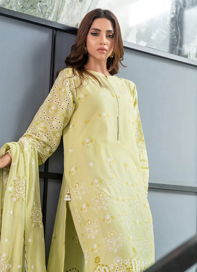 3 Pc Chikankari Lawn