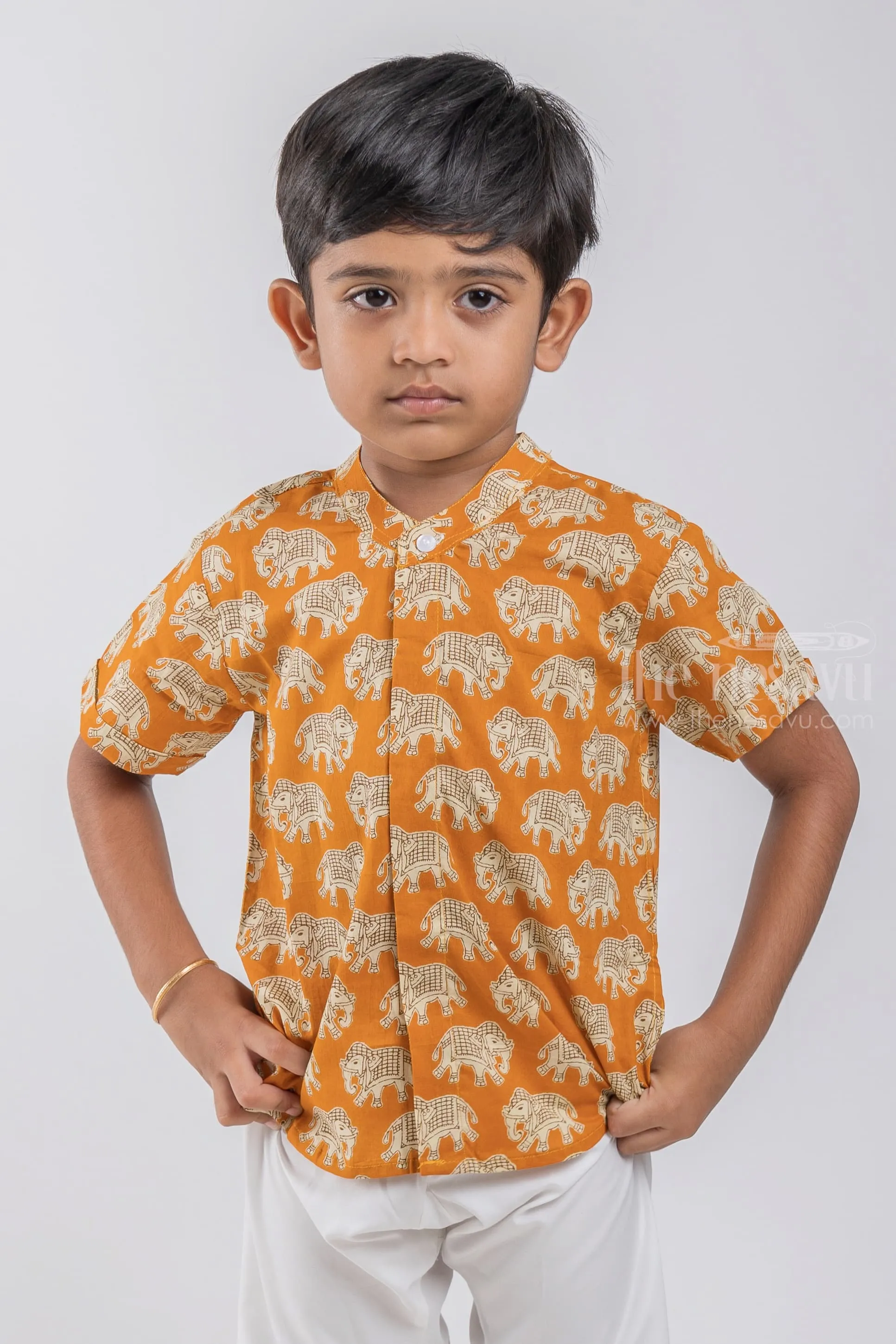 ALG. Boys Madhubani Elephant Printed Yellow Cotton Shirt by The Nesavu